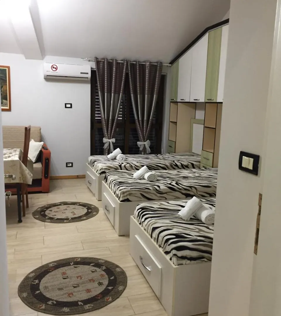 Aparthotel Lille France Apartments Shkoder
