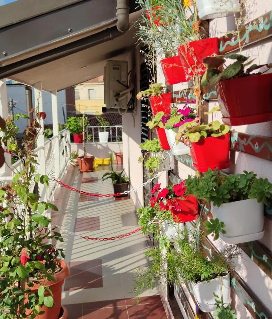 Lille France Apartments Shkoder Aparthotel