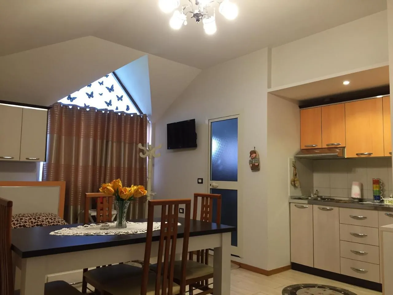 Lille France Apartments Shkoder Albania